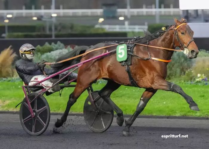 Duel Du Trio Gagnant