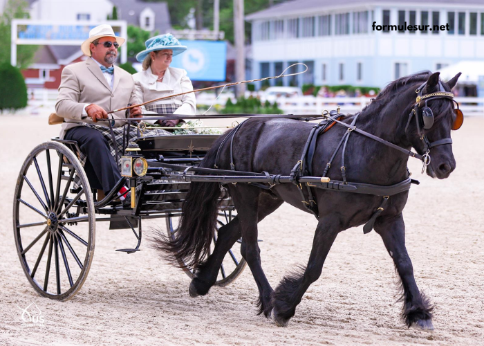 Programme Pmu' DE Demain Lonab