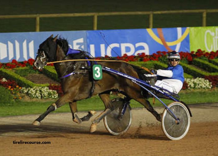 100100 Ordre Turf