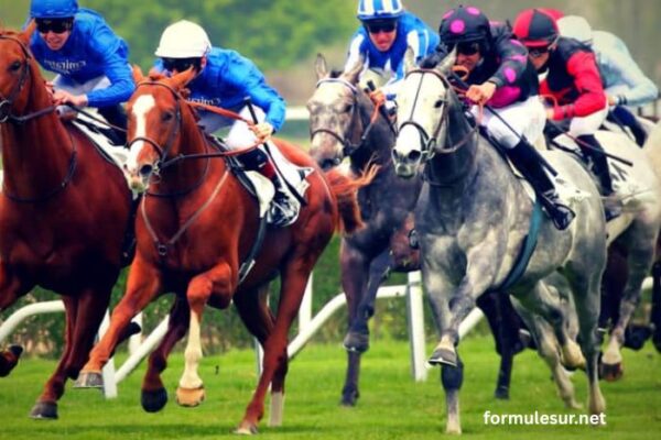 _Base Prono Vip