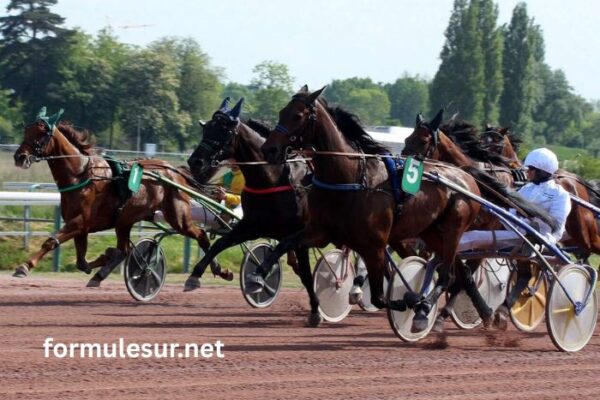 Les 3 Tocards Vip (3)