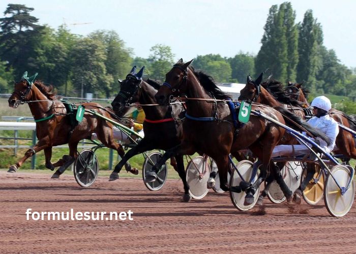 Les 3 Tocards Vip (3)