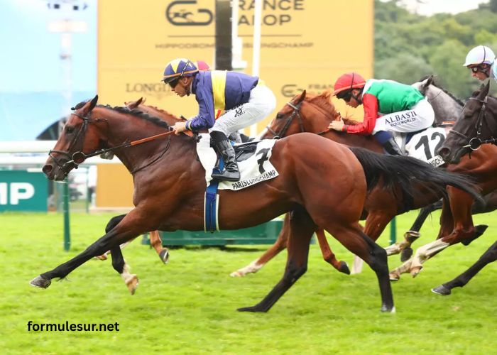 Les 5 Pions Turf (1)