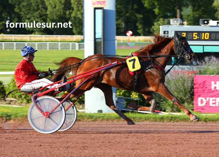 Lesduels Du Quinté (1)