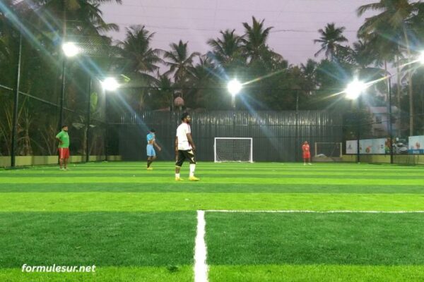 Mayocourse Turf (1)