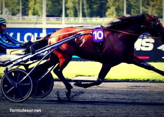 Nivard Guyon Turf (2)