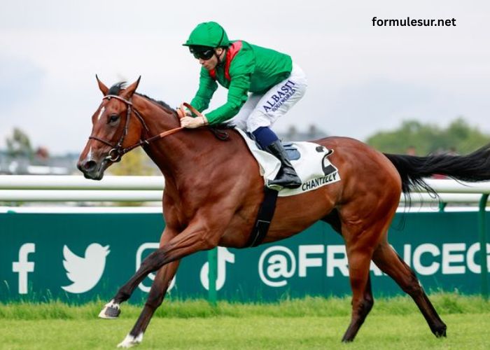 Paris Promise Turf