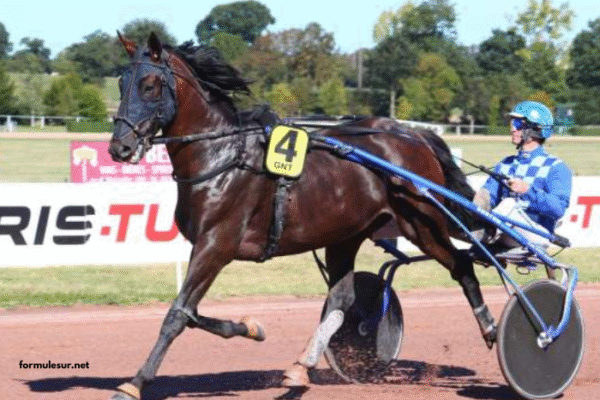 Programme Pmu DE Demain