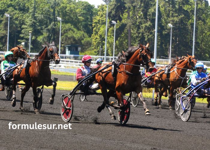100 Ordre Turf (1)