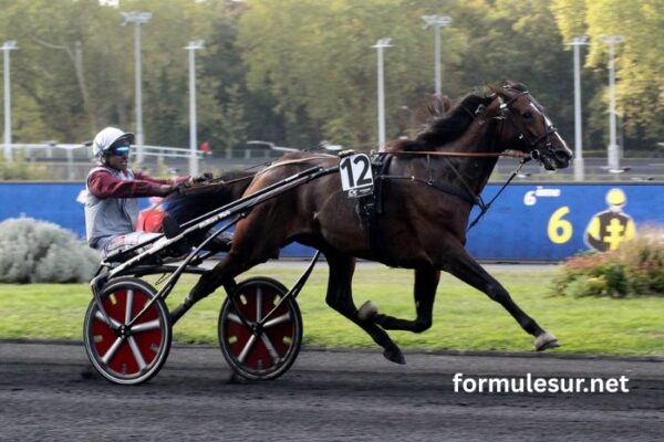Heros Turf Vip (4)