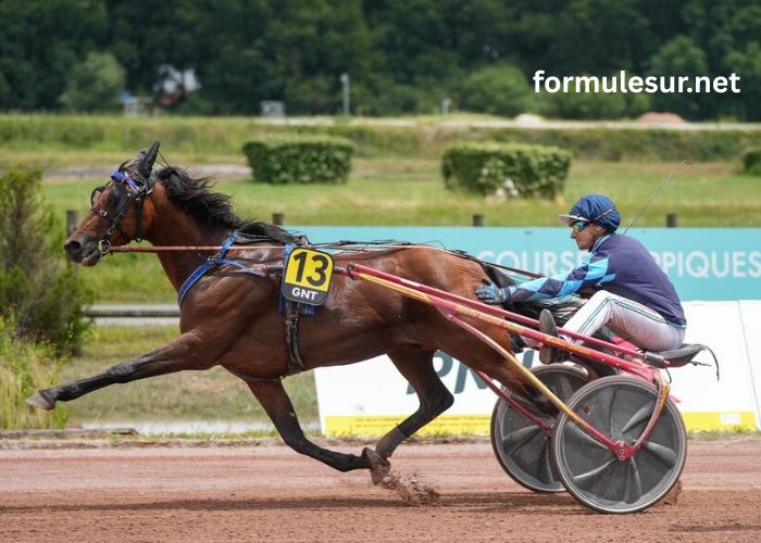 LA Filière Turf (2)