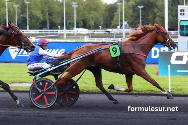 Les 3 Bases (3)