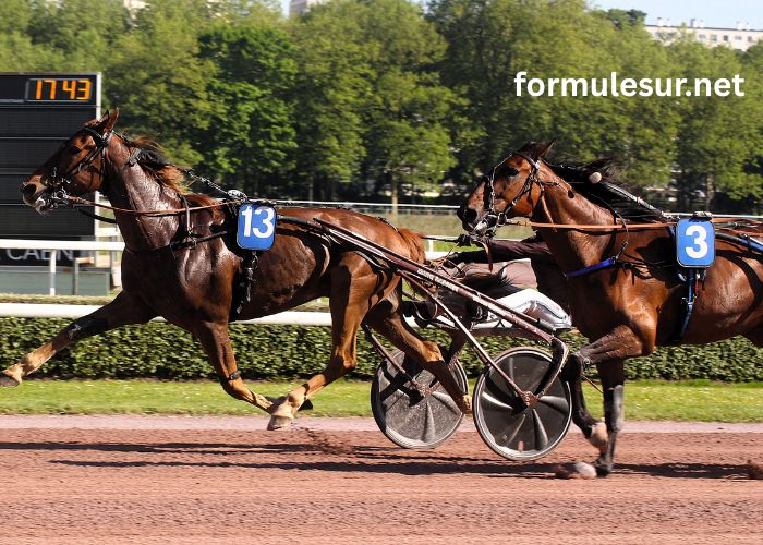 Les 3 Tocards (3)