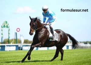 OK Info Turf (2)