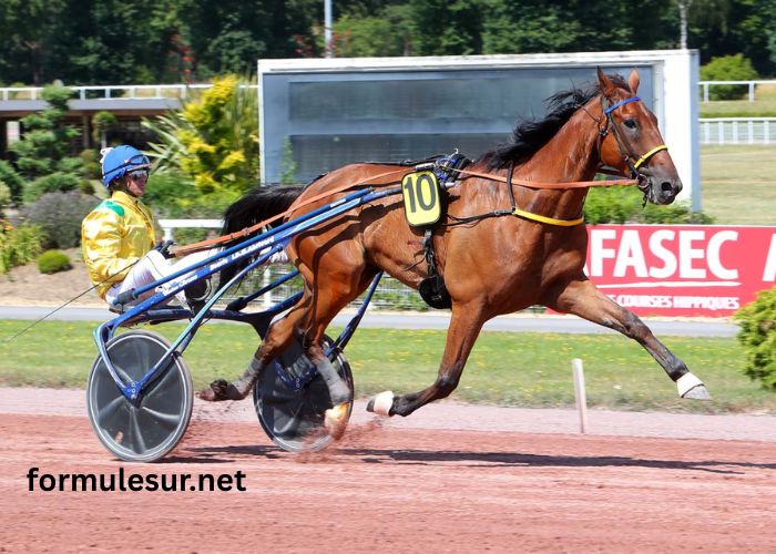 Observateur Du Turf (1)