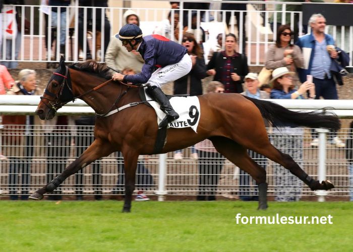 Pronostic Du Jour (3)